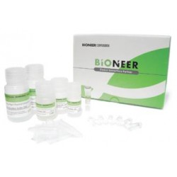 AccuPrep® Gel Purification Kit (50 rxns)