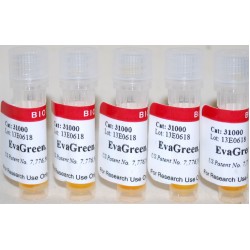 EvaGreen® dye, in water (5x1 ml)