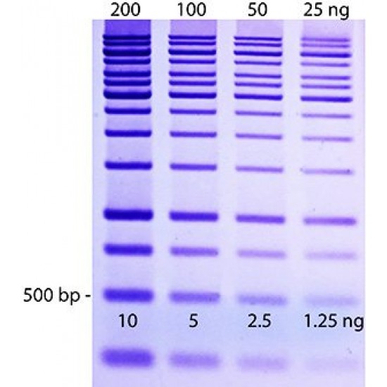 DNAzure™ Blue Nucleic Acid Gel Stain, 100X (10 ml)