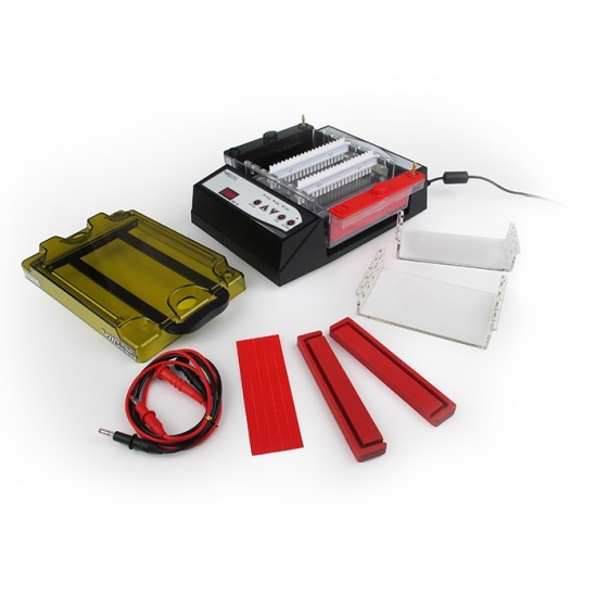 SafeBlue Electrophoresis System SafeBlue Electrophoresis System
