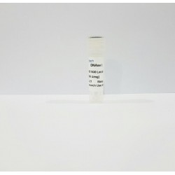 DNase l 20 mg