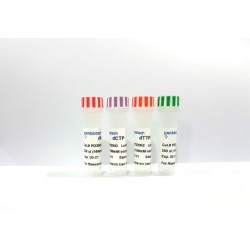 dNTP's 100 mM  (4 x 100 µl) 