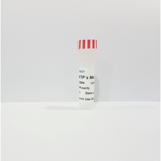 dNTP's mix PCR 1ml dNTP's mix PCR 1ml