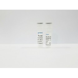 Pfu DNA Polymerase (500 units)