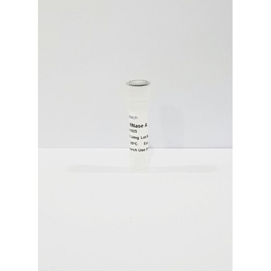 RNAse A (25 mg) RNAse A (25 mg)