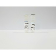 T4 DNA ligase (4000 U)