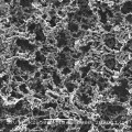 Nitrocellulose Membranes