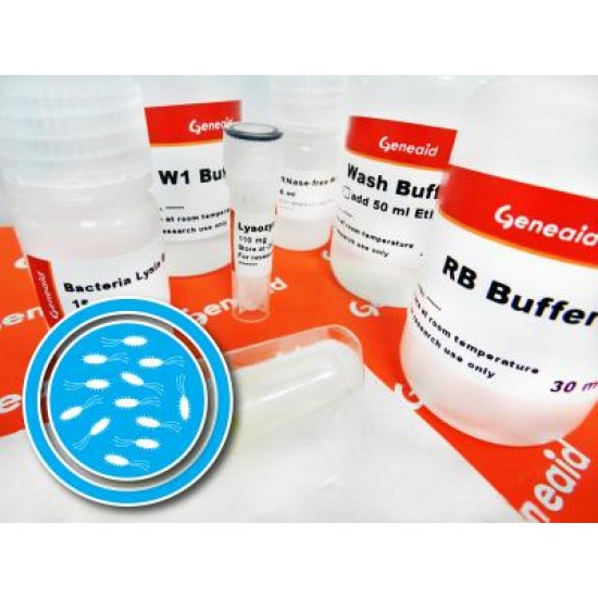 Bacteria RNA Mini Kit with DNase (50 rxns) Bacteria RNA Mini Kit with DNase (50 rxns)