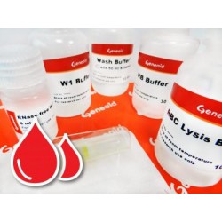 Blood/Cell RNA Mini Kit with DNase (50 rxns)