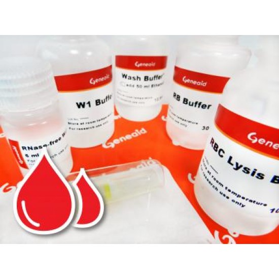 Blood/Cell RNA Mini Kit with DNase (50 rxns)
