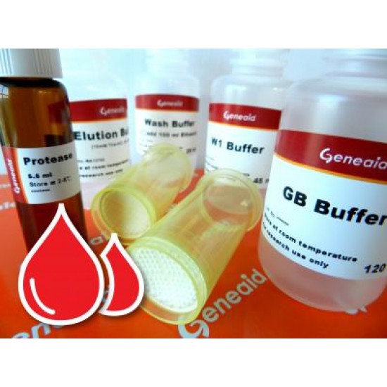 Blood/Cell DNA Maxi Kit (10 rxns) Blood/Cell DNA Maxi Kit (10 rxns)
