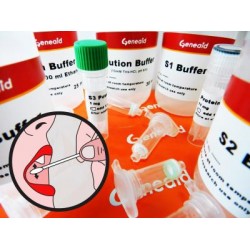 Buccal Swab DNA Mini Kit (100 rxns)
