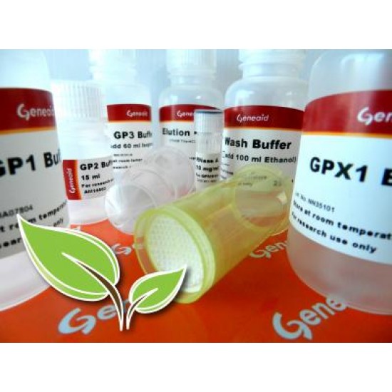 Plant Genomic DNA Maxi Kit (10 rxns) Plant Genomic DNA Maxi Kit (10 rxns)