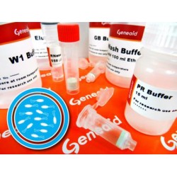 Bacteria Genomic DNA Kit  (100 rxns)