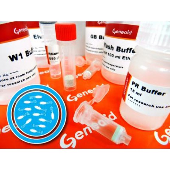 Bacteria Advanced DNA Kit (100 rxns)