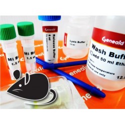 miRNA Isolation Kit (50 rxns)