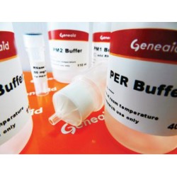 Geneaid™ Midi Plasmid Kit Endotoxin Free (25 rxns)