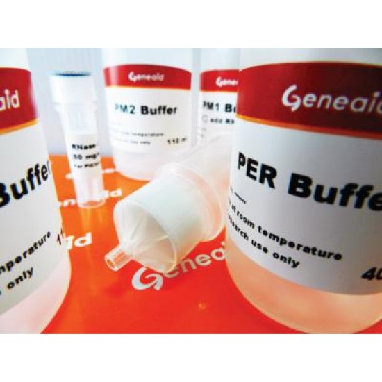 Geneaid™ Midi Plasmid Kit Endotoxin Free (25 rxns)