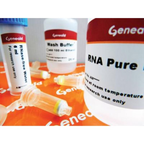 RNA Cleanup Kit (50 rxns) RNA Cleanup Kit (50 rxns)