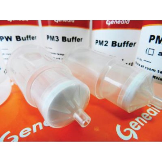 Geneaid™ Midi Plasmid Kit (25 rxns)