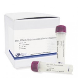 Bst DNA Polymerase, large fragment (8000 units)