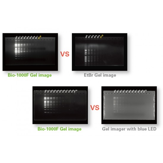 Gel Scanner Bio 1000 F