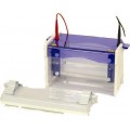 Vertical Electrophoresis Systems