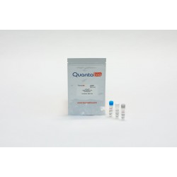 qScript cDNA Synthesis Kit (100 rxns)