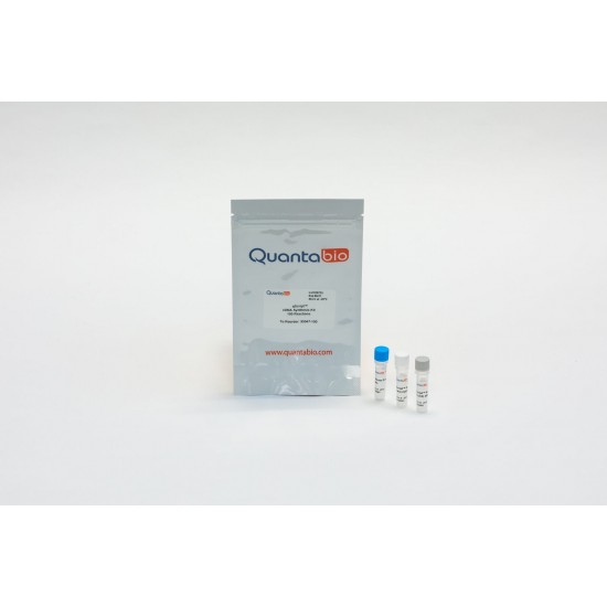 qScript cDNA Synthesis Kit (100 rxns) qScript cDNA Synthesis Kit (100 rxns)