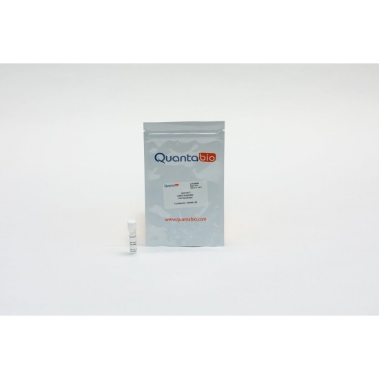 qScript cDNA Supermix (100 rxns)