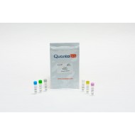 qScript FLEX cDNA Kit (25 rxns)