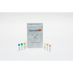 qScript FLEX cDNA Kit (25 rxns)
