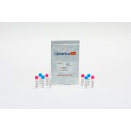 qScript 1-Step qRT-PCR Low ROX (200 rxns)