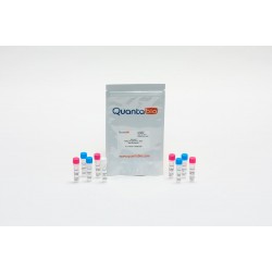 qScript 1-STEP qRT-PCR (200 rxns)