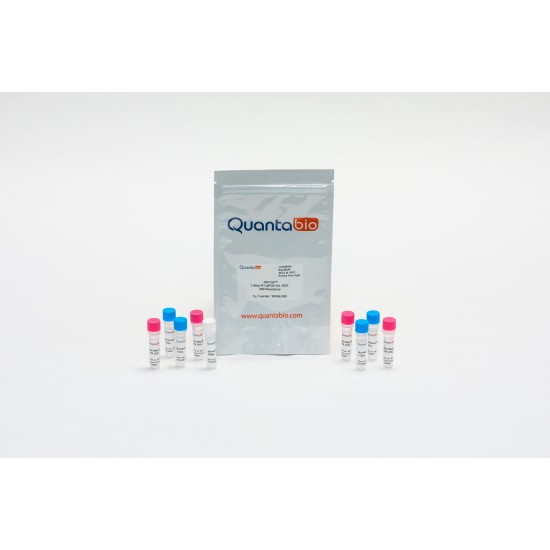 qScript 1-Step qRT-PCR Low ROX (200 rxns) qScript 1-Step qRT-PCR Low ROX (200 rxns)