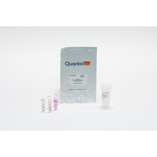 Perfecta Multiplex qPCR Supermix (200 rxns) Perfecta Multiplex qPCR Supermix (200 rxns)