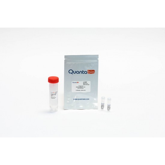 Perfecta qPCR Fastmix, UNG ROX (1250 rxns) Perfecta qPCR Fastmix, UNG ROX (1250 rxns)