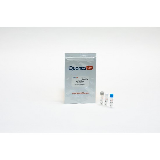 qScript XLT 1-Step RT-PCR Kit (200 rxns) qScript XLT 1-Step RT-PCR Kit (200 rxns)