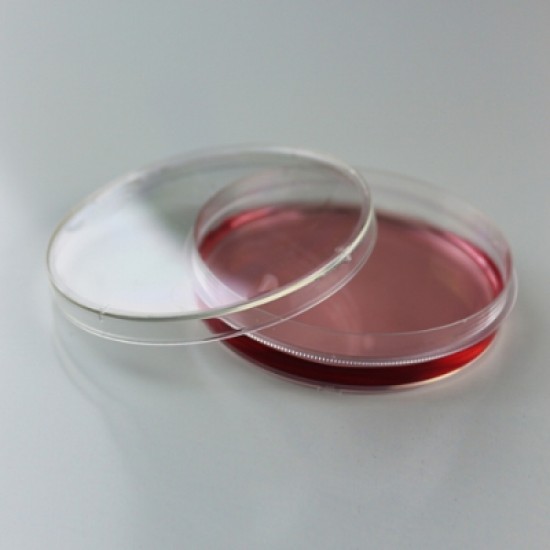 100 mm cell culture dish, treated, sterile (10 units)