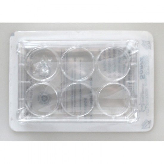 6 wells cell culture plate, treated, sterile (individually package)