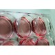 6 wells cell culture plate, treated, sterile (individually package)