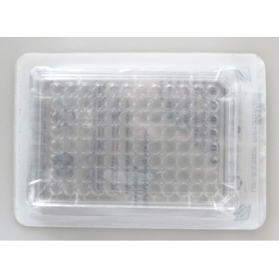 96 wells cell culture plate, treated, sterile (individually package)