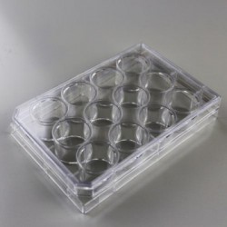 12 wells cell culture plate, treated, sterile (individually package)