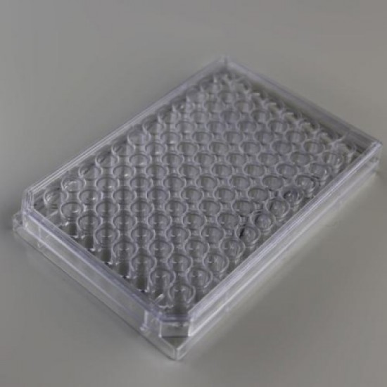 96 wells cell culture plate, treated, sterile (individually package)