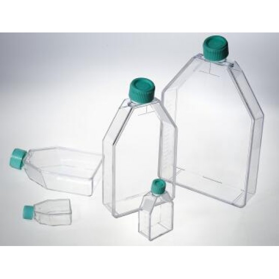 50ml Cell culture flask, vent, non treated, sterile (10 units)