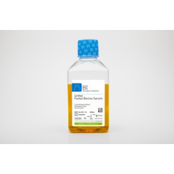 Certified Foetal Bovine Serum (FBS) (100 ml)