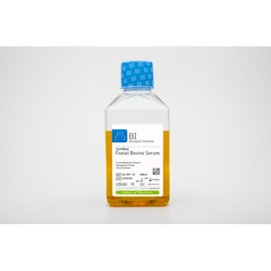 Certified Foetal Bovine Serum (FBS) Charcoal Stripped (500 ml)