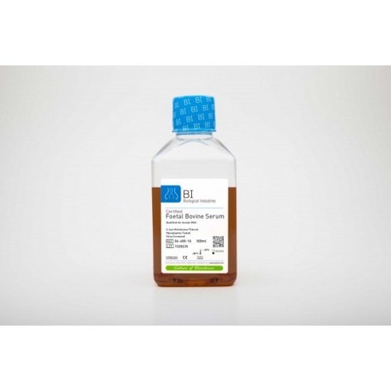 Certified Foetal Bovine Serum (FBS) Qualified for Mesenchymal Cells (500 ml)