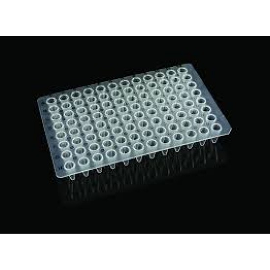 PCR plate unskirted (96 wells), standard (10 units)