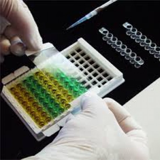 SealPlate MiniStrips, non-sterile (200 units) SealPlate MiniStrips, non-sterile (200 units)